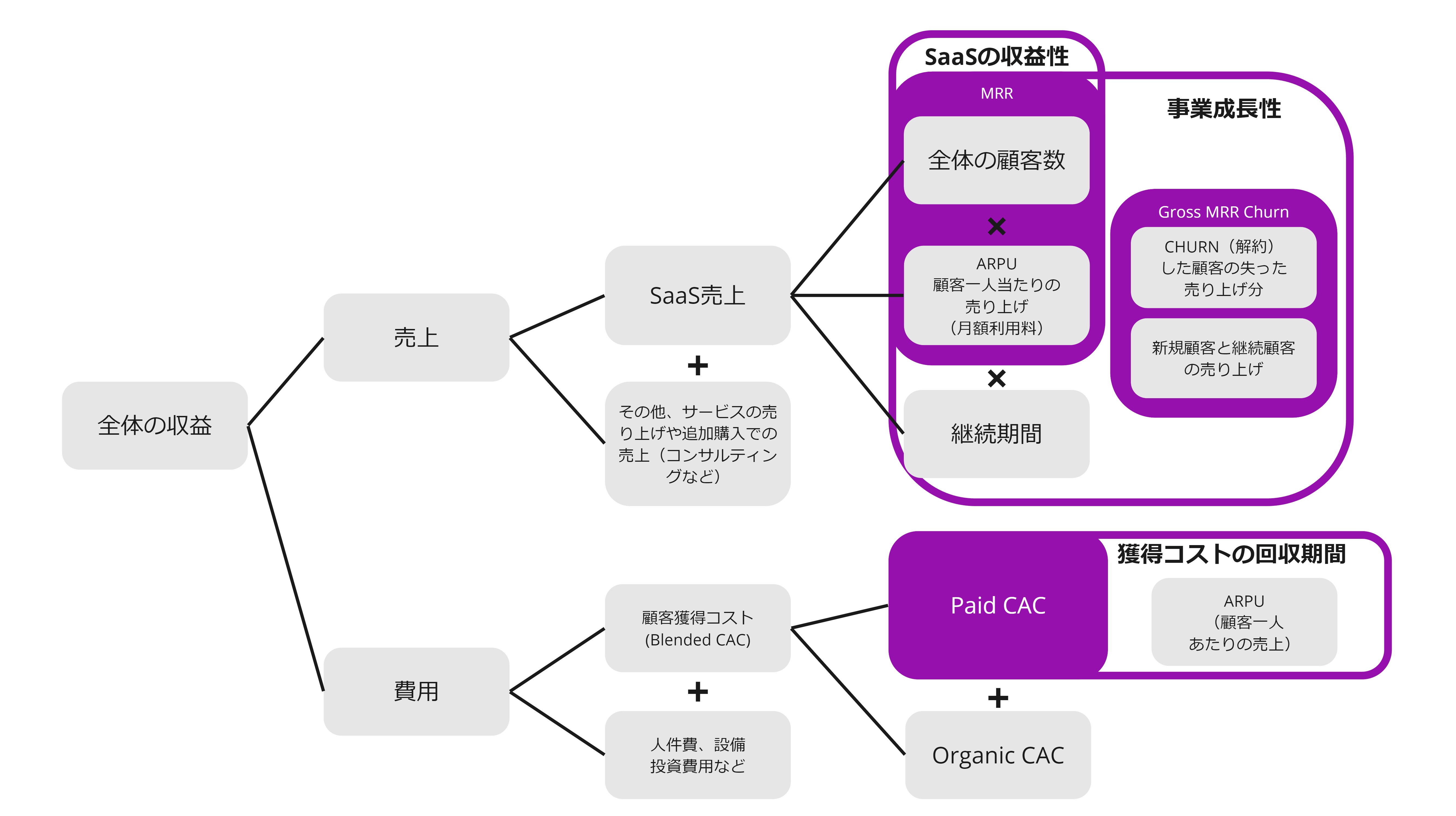 SaaS Revenue Model